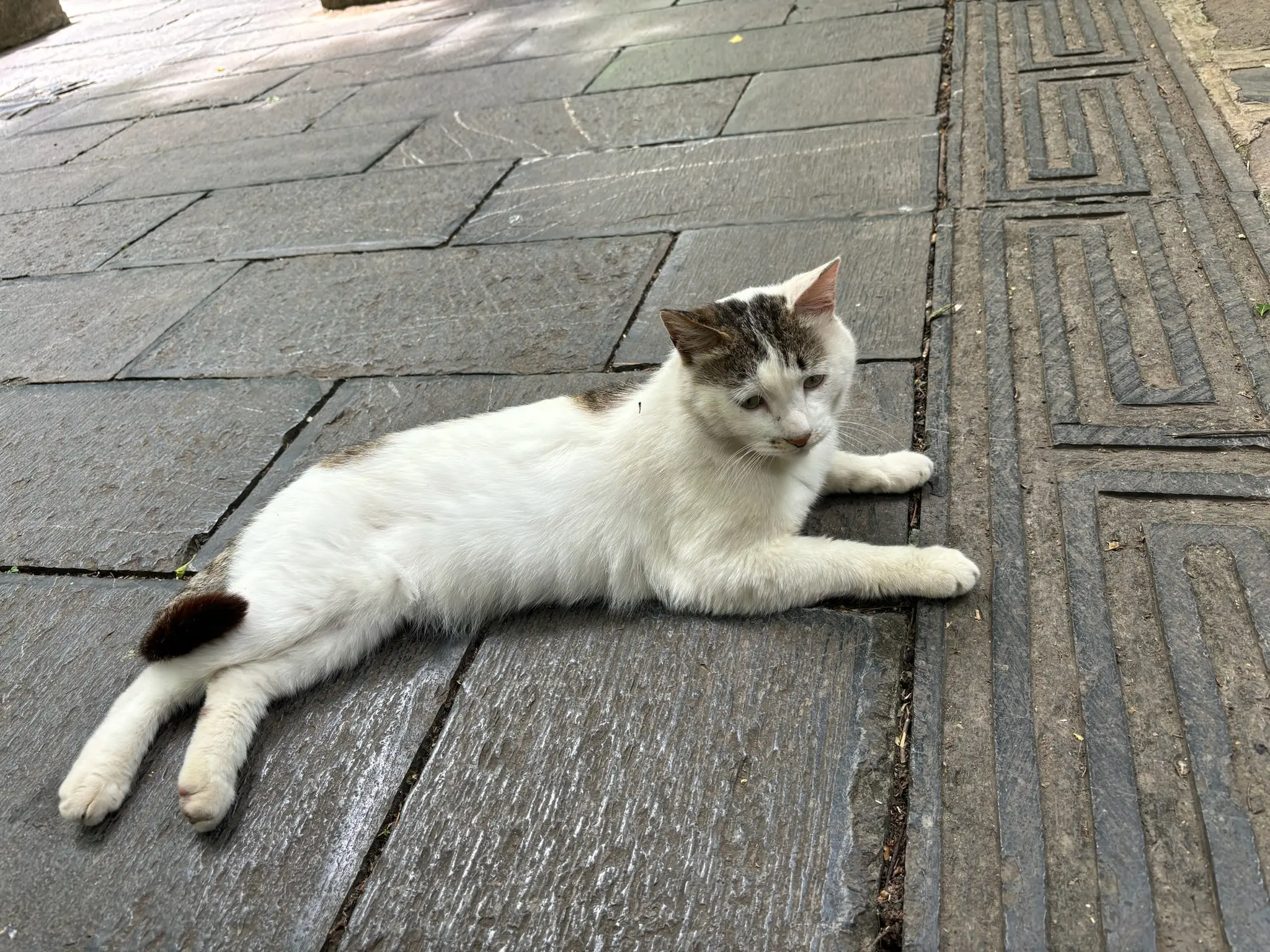 image-10