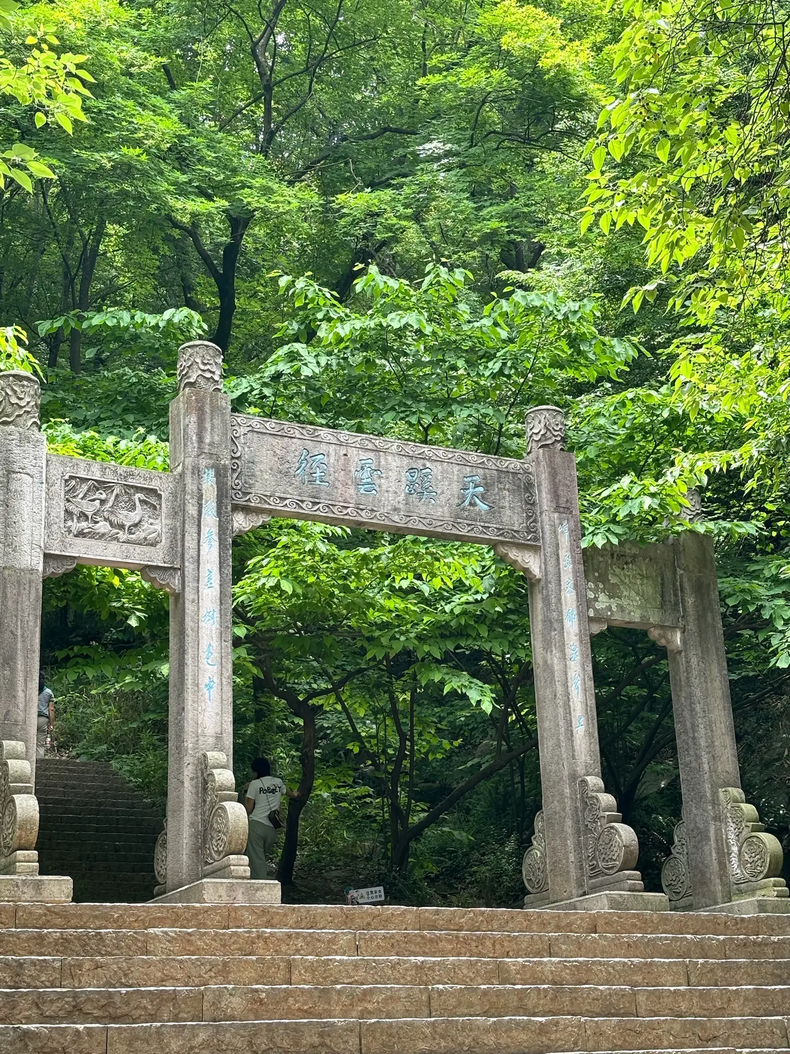 image-11