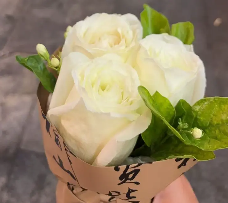 image-4